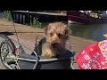 Download Lagu Hond Bobby op vakantie aan zee