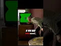How to Watch Ben 10 in Order Correct Timeline