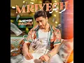 مريش - مهدي فاضيلي