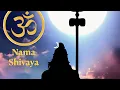 Lagu KAILASA NADHA NAGENDRA HARA A special song for lord shiva on the special occasion of SHIVA RATHRI 