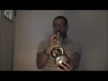 Lagu Bruno Mars- Just The Way You Are (Trumpet Cover)