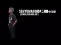 Download Lagu Imal Kifli - Senyuman Bidadari (Lagu Viral 2019 )