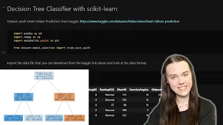How to build a Decision Tree Classifier with Python and Plot it Coding Tutorial