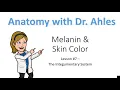 Lesson - Melanin Skin Color