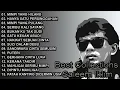 Full Album Saleem Iklim Best Rock Of Malaysian