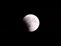 #mavera Redmoon Rises _4_ BY THE YPY