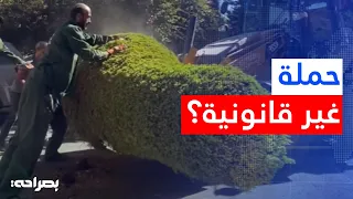 شجرتك ملكك.. محامية تفجر مفاجأة وتكشف كيف تقاضي أمانة عمان وتطالب بالتعويض! - بصراحة