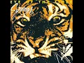 Eye Of The Tiger 2025 Remaster 