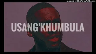 daliwonga x sir trill x kabza de small type beat usangkhumbula amapiano beats