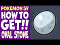 Pokemon Scarlet and Violet How to Get Oval Stone