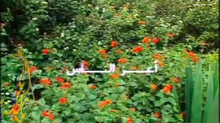 أعز الناس الفنان محمد سعد عبدالله  أعز الناس الفنان محمد سعد عبدالله