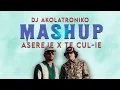 TE CULIÉ x ASEREJE x MASHUP | OZUNA & BEELE | REMIX DJ AKOLATRONIKO