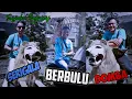 Download Lagu SERIGALA BERBULU DOMBA versi KUDA RENGGONG Tanji Progresif || FILY KURCACI tatalu di saung