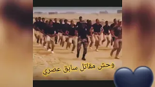 انا أنا بن الصاعقه المصري خير اجناد الأرض لا للارهاب دندنها