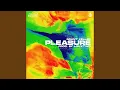 Download Lagu Pleasure