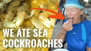 Installing solar panels + 40 kt rescue + Fish on! Ep 137