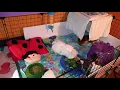 How to Enlarge C C Cage for Guinea Pigs