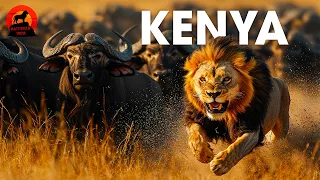 KENYA | O Segredo do Reino Selvagem | Documentários  animais