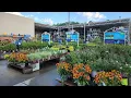 Lowes July plant inventory Beautiful Perennials annuals and shrubs