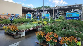 Lowes July plant inventory Beautiful Perennials annuals and shrubs