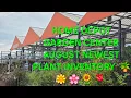 HOME DEPOT GARDEN CENTER - August Newst Plant Inventory Beautiful Plants