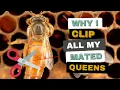 Download Lagu Clipping Queens Saves Time \u0026 Money! Here Is WHY...