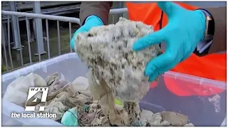 Why you actually shouldn t flush flushable wipes