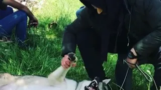 تيم حسن يداعب كلبه في كواليس الهيبة 