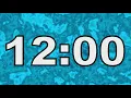 12 Minute Timer