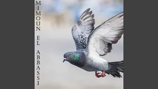           دندنها