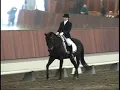 Smokey - Completely Blind Dressage Horse