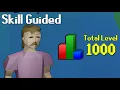 It took me a year to reach 1000 total level - Skill Guided