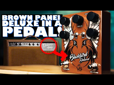 Vs Audio BlackBird Deluxe Drive + Tremolo | Delicious Audio