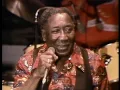 Muddy Waters - Mannish Boy - ChicagoFest 1981