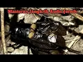Download Lagu Masteran Jangkrik Audio Jernih Terbaru 