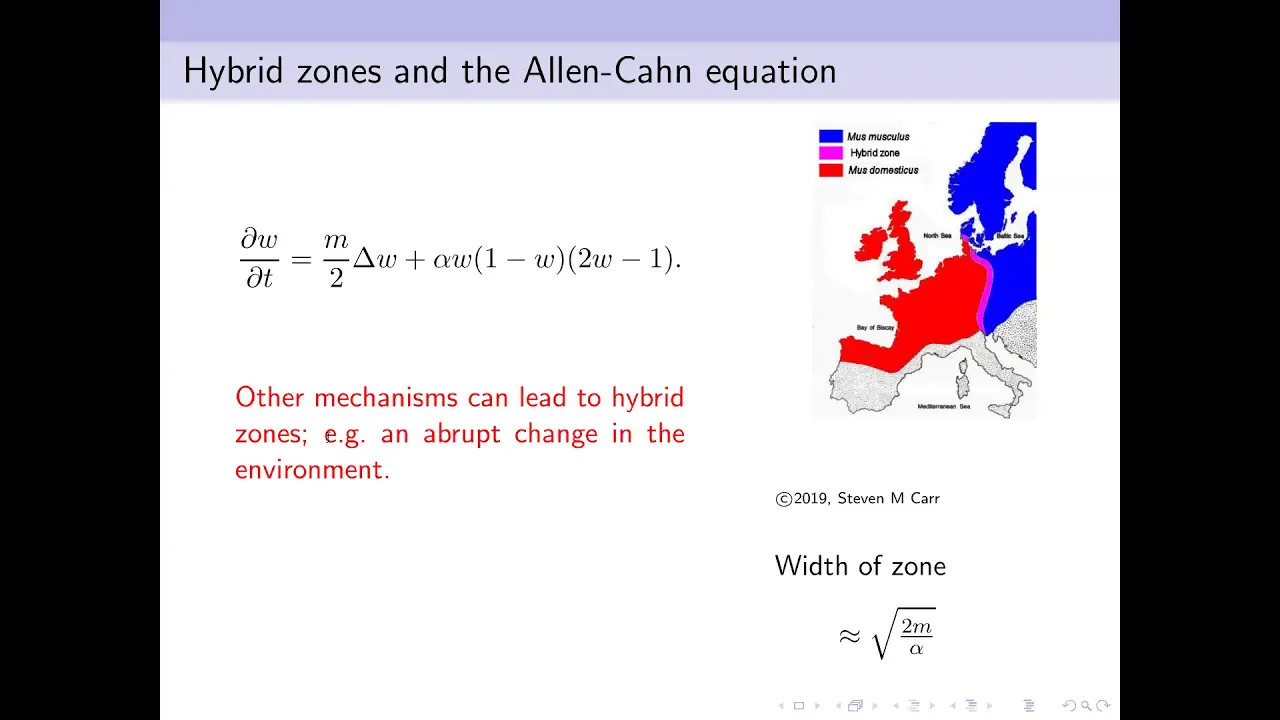 2020.06.04 Alison Etheridge - Branching Brownian motion, mean curvature flow and hybrid zones