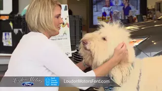 Stark Humane Society Donation Location