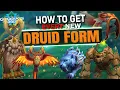 Get EVERY New DRUID FORM In Patch 10 2 World of Warcraft Dragonflight - All You Need To Know