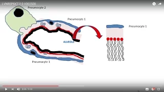 21. Le Surfactant Pulmonaire