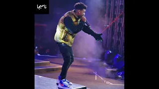                          ديزي   ستيڤا دندنها