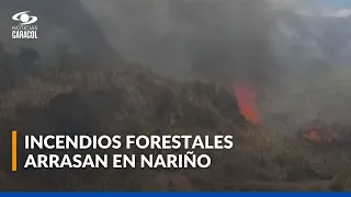 Incendios en Nariño: 38 municipios afectados y más de 3.000 hectáreas devastadas por el fuego