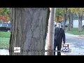 Michael Myers of Decatur draws millions of viewers with Halloween antics