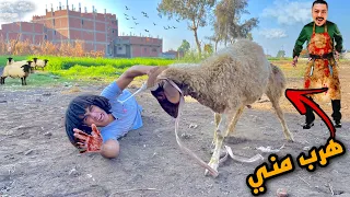 الخروف هرررب مننا اول يوم العيد    والعيال سرقو العديا   دندنها