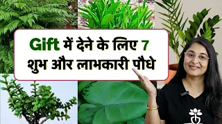plants for gifting garden gift