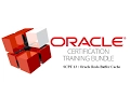 SCPT 13 Oracle Redo Buffer Cache