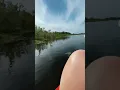 Download Lagu Huge Alligator Uncomfortably Close to Kayakers || ViralHog