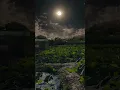 Download Lagu India Village ||Night sound view||  Peaceful || Relax \u0026 Sleep|| Nature  sound ll 🌌✨🌙||