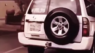 شيله حماسية فهد بن فصلا 