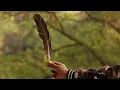 Why You Keep Finding Feathers Spiritual Meaning Explained