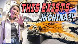 北京约满了？这几家免预约博物馆能救你的行程